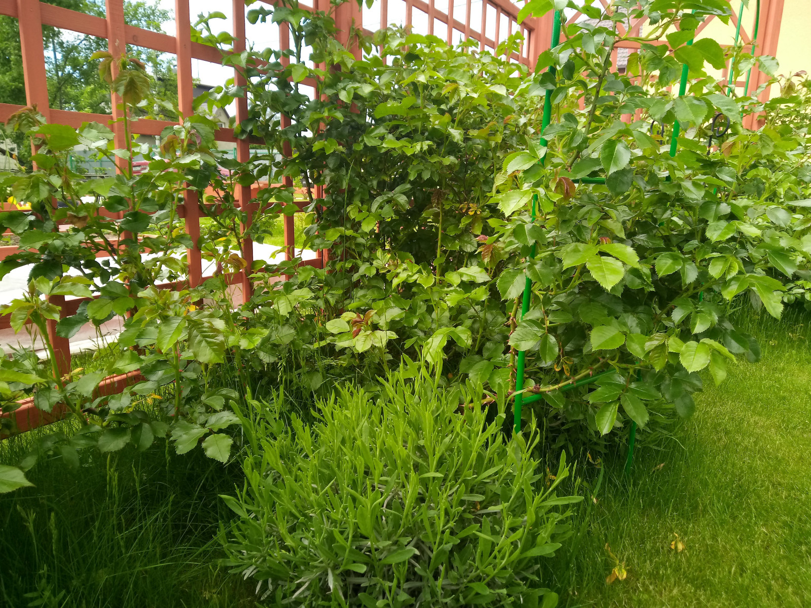 г. Пионерский, Калининградская область