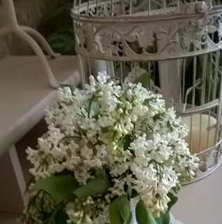 София Петрова