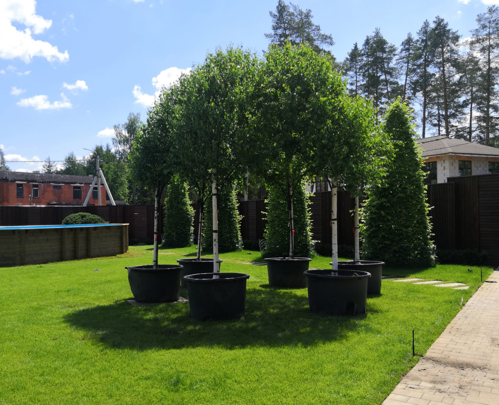 Landscape design of the territory (Moscow region, Green Grove village)