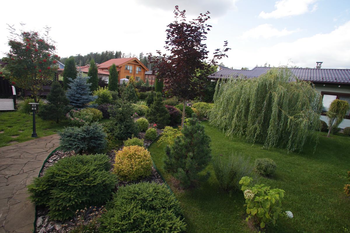 Витро Кантри 2