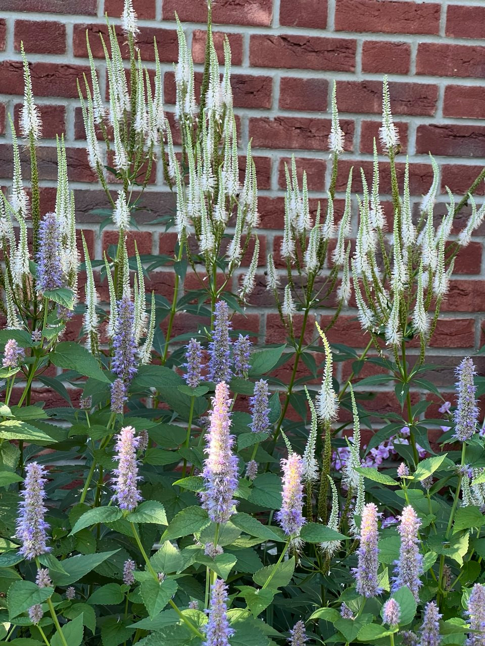 Английская история