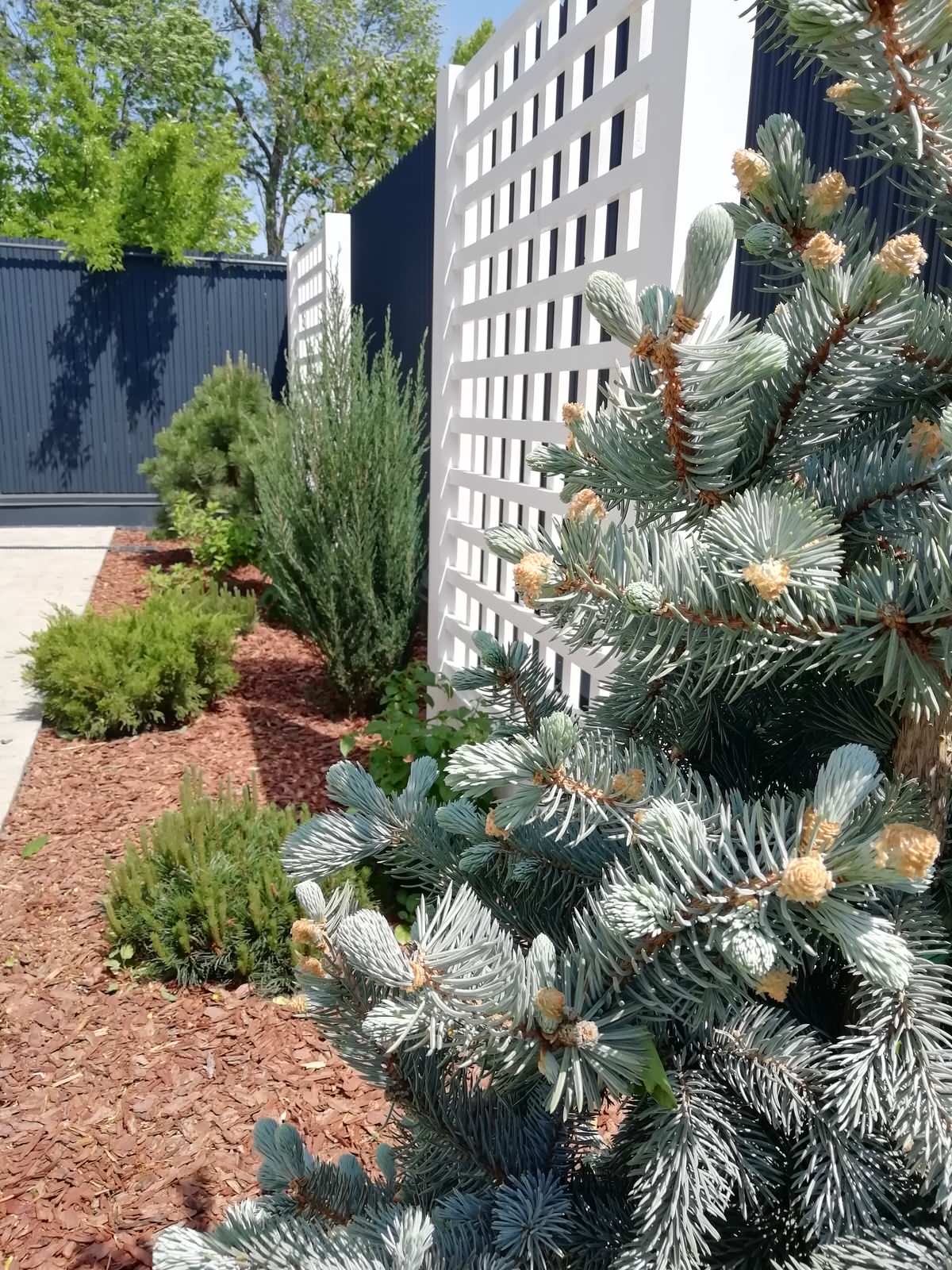 Частный сад "на Дружной"