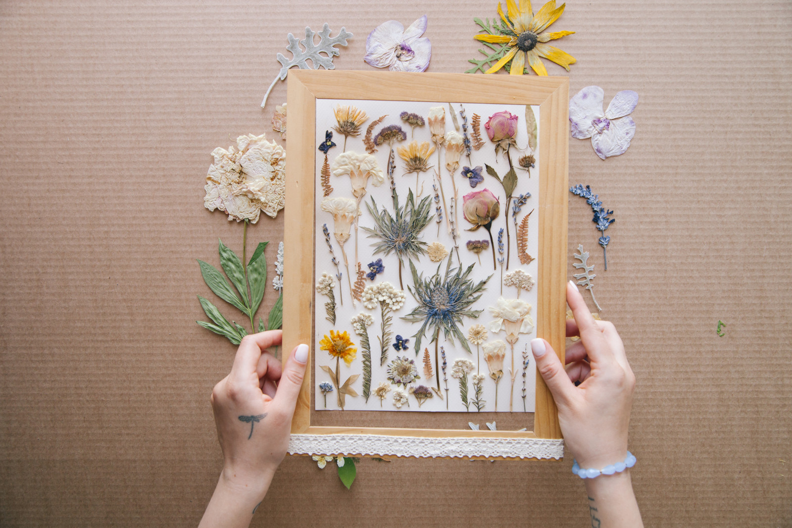 Своими руками: Как сделать гербарий – картину