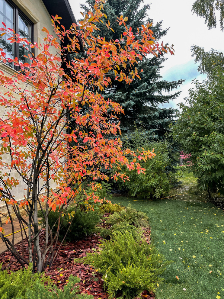 Травертин (2021г)