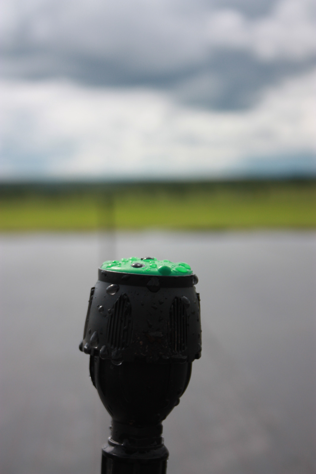 Обложка проекта: Автополив в питомнике Осётр в Тульской области д. Махринские выселки