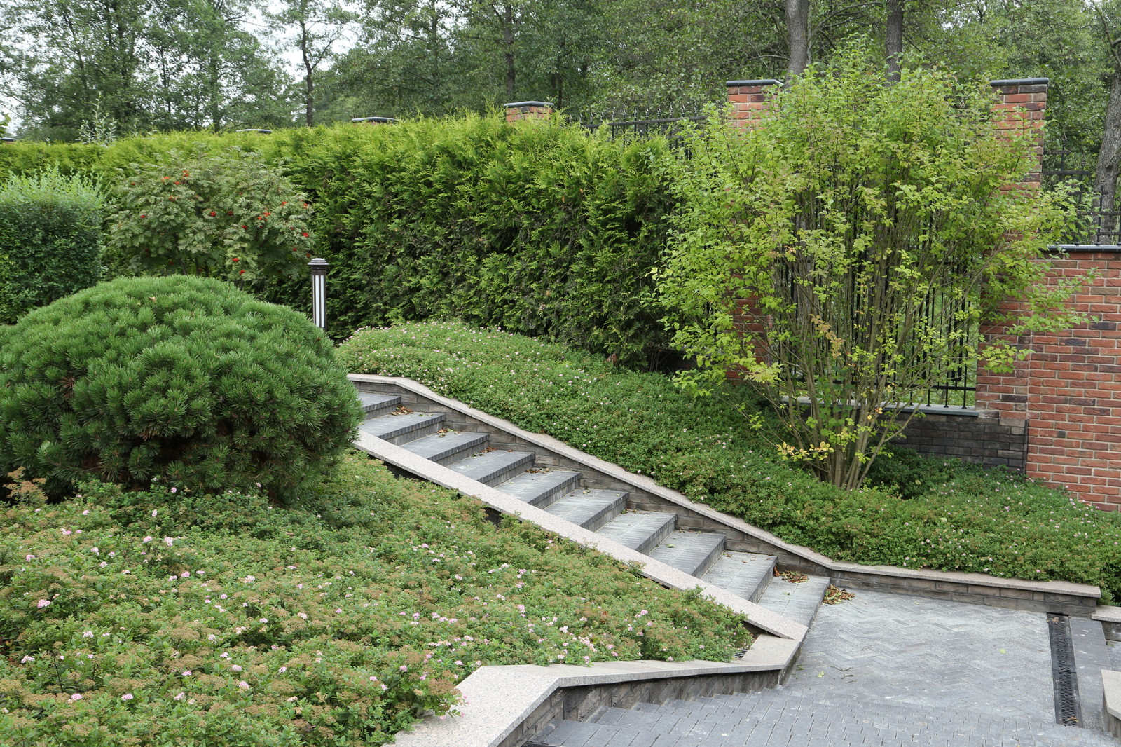 Обложка альбома: Сад на склоне