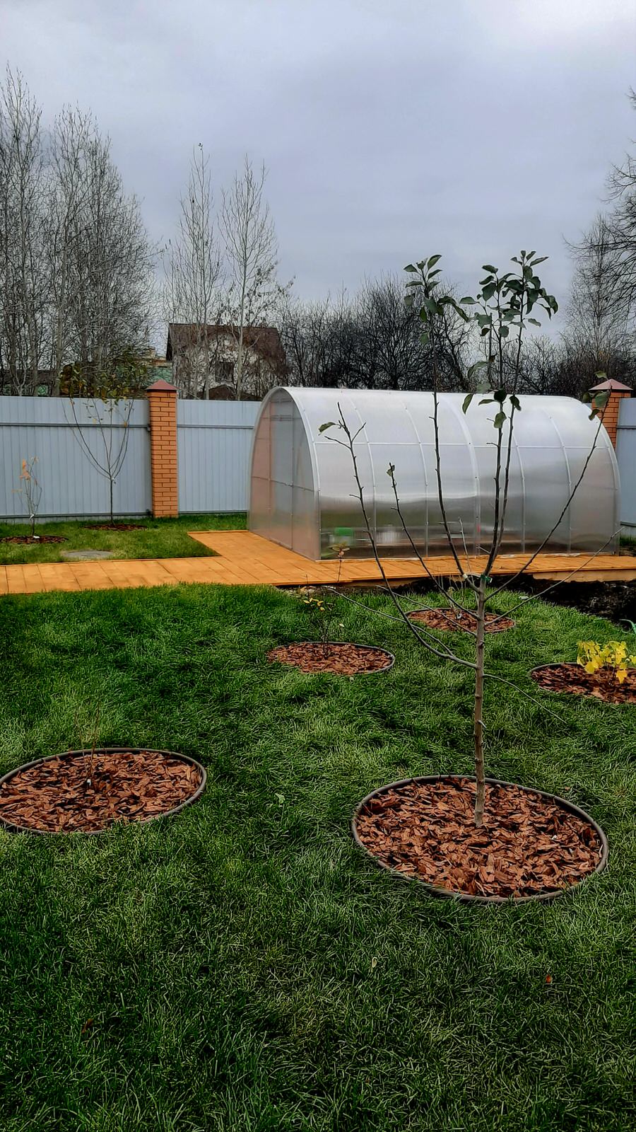 Обложка проекта: Кулаково, 2023