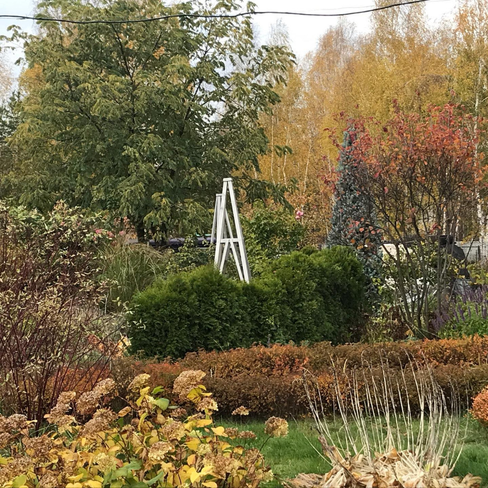 Сад на песках