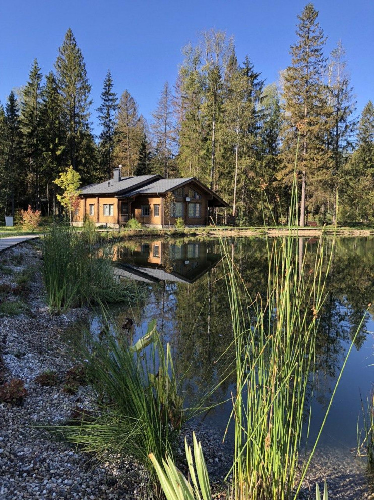 Изумрудный лес