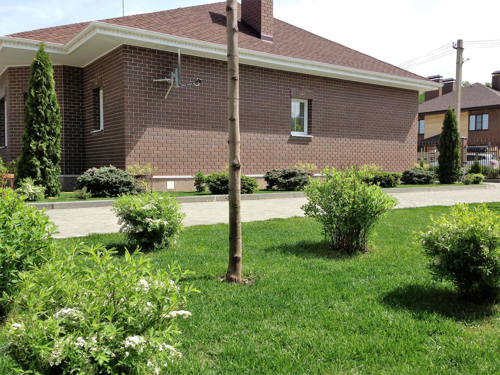 Вавиловец 1