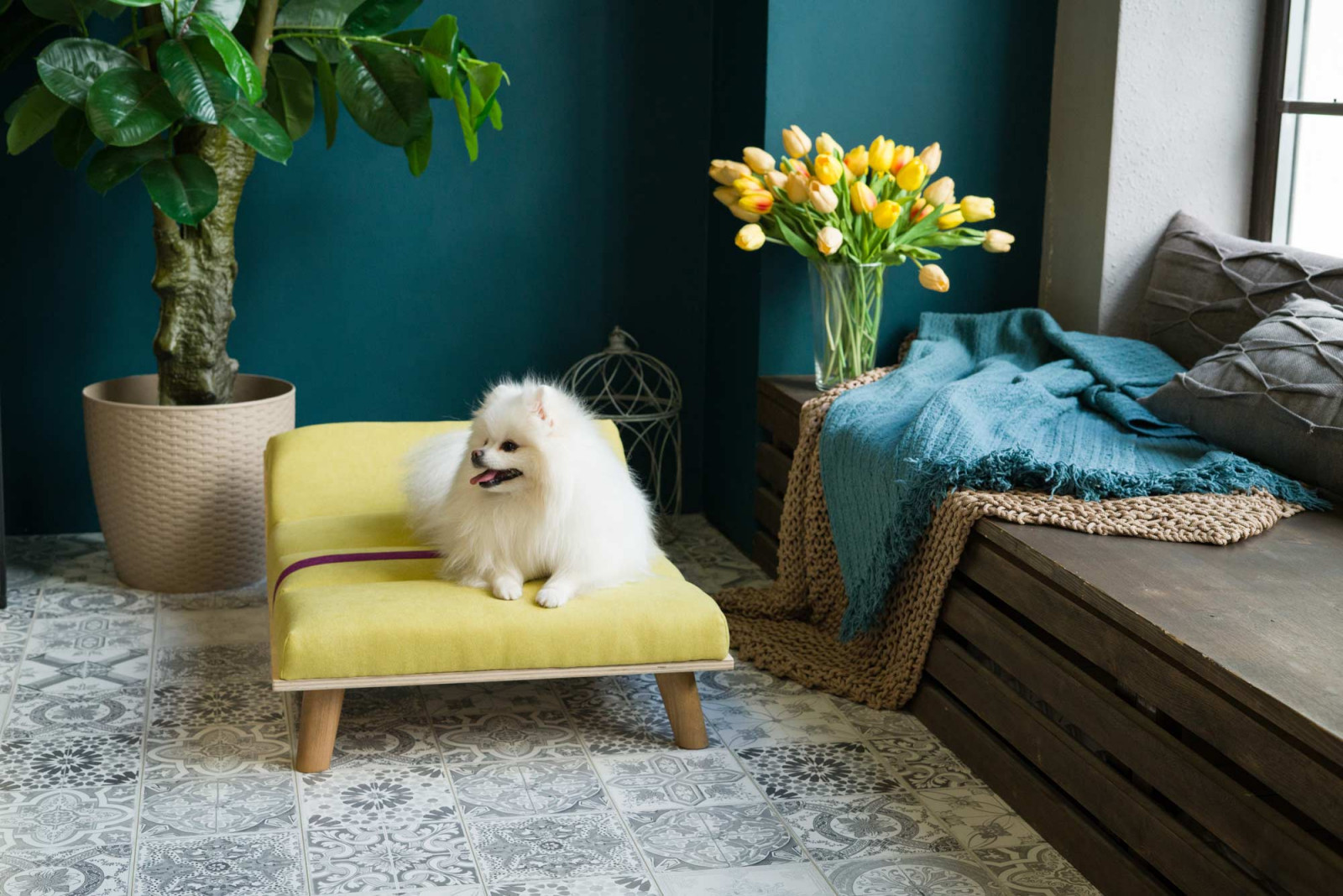 Мебель из массива для животных. Модель SONO-Y