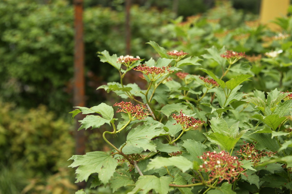 Выставочный сад "Азбука сада"