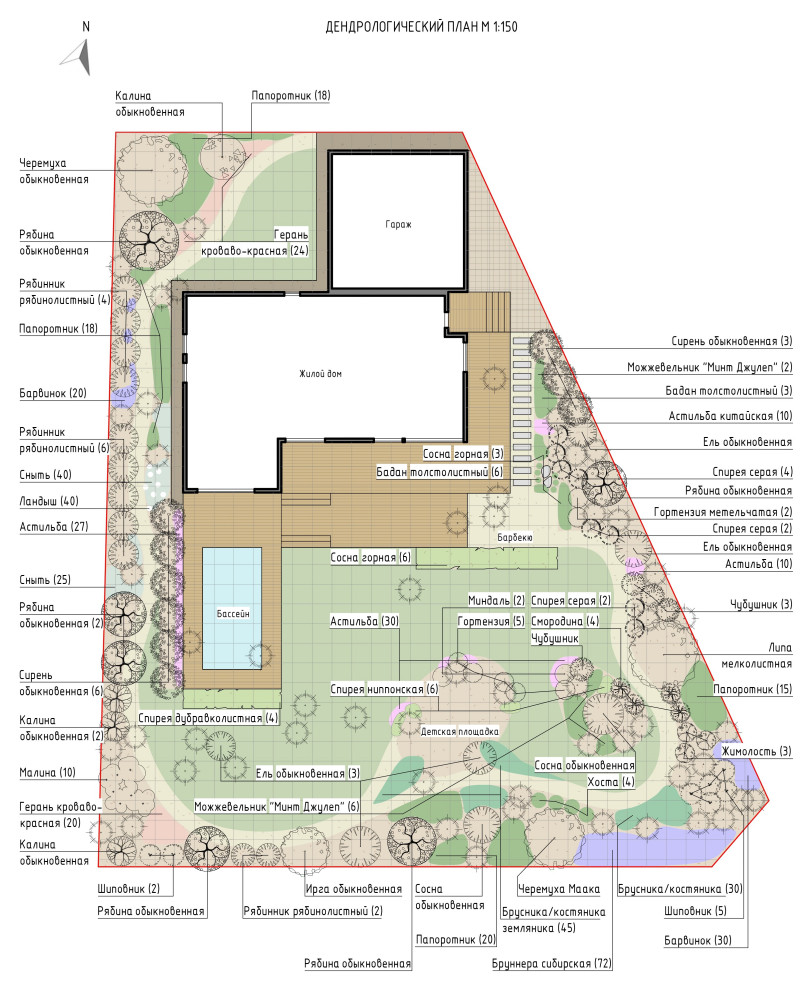 Проект сада "Серебряный лес", Москва