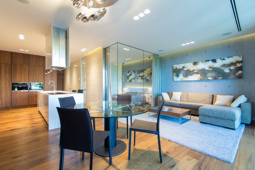 Студия в стиле функционального минимализма