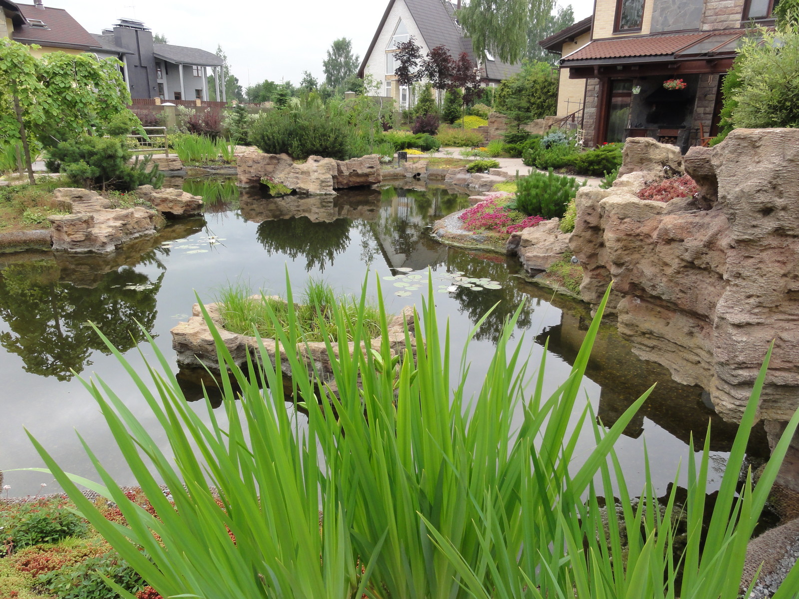 вокруг пруда