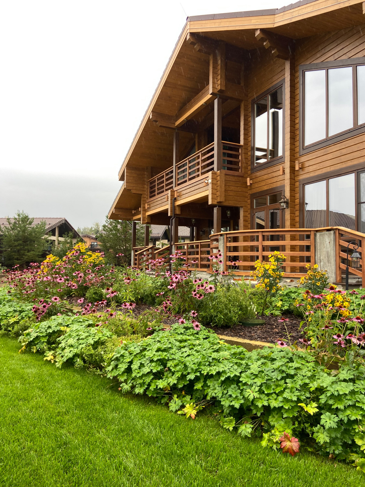 Участок для Дмитрия и Татьяны