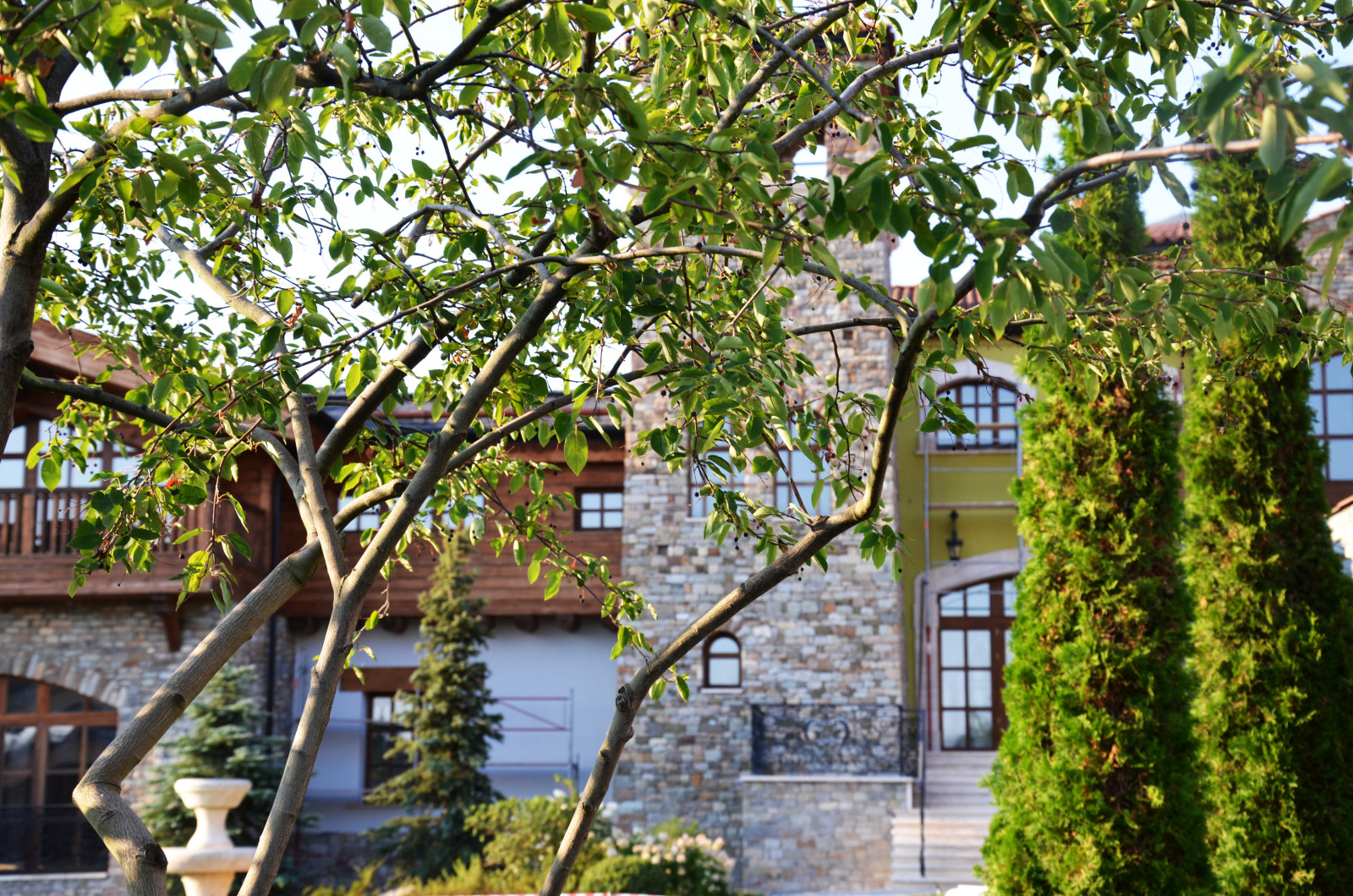 Итальянский сад в КП Европа 2013 г