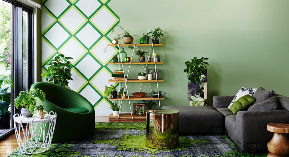 Зона роста: Полезные и потенциально-опасные комнатные растения