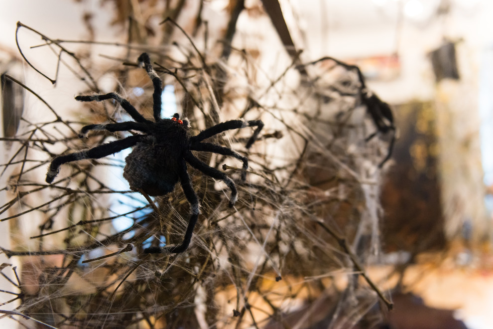 Houzz Германия: Шоу ужасов в одной готической квартире перед Хеллоуином