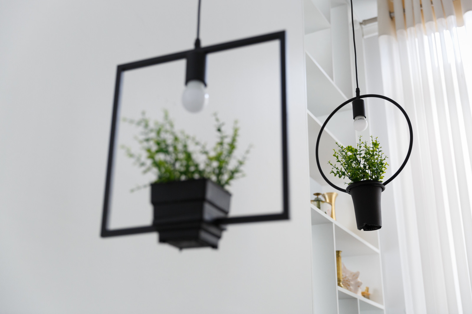 Обложка проекта: Студия Auroom