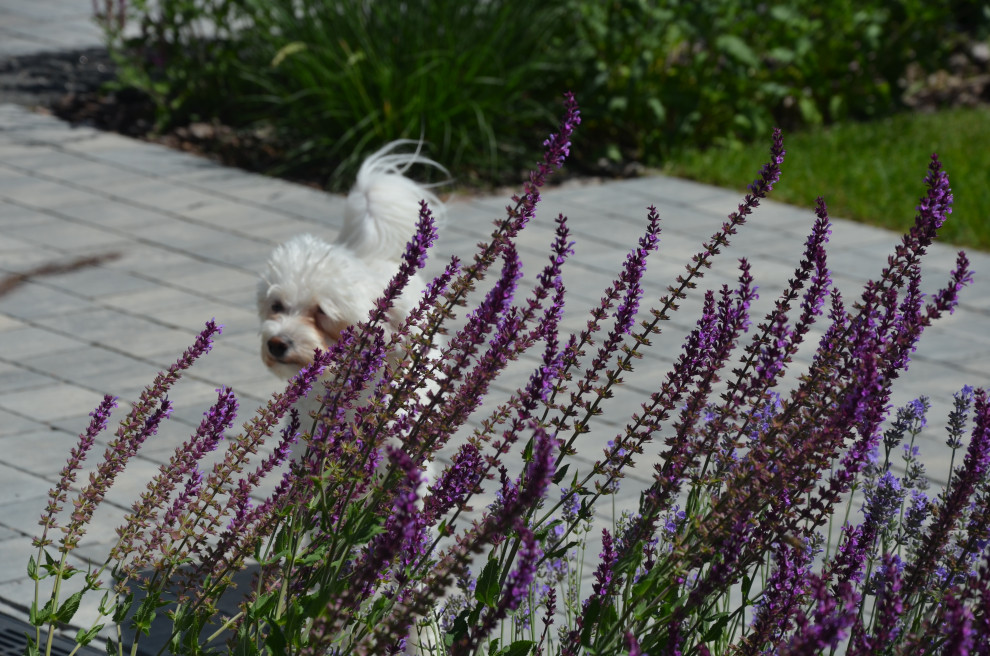 Мягкий и пушистый