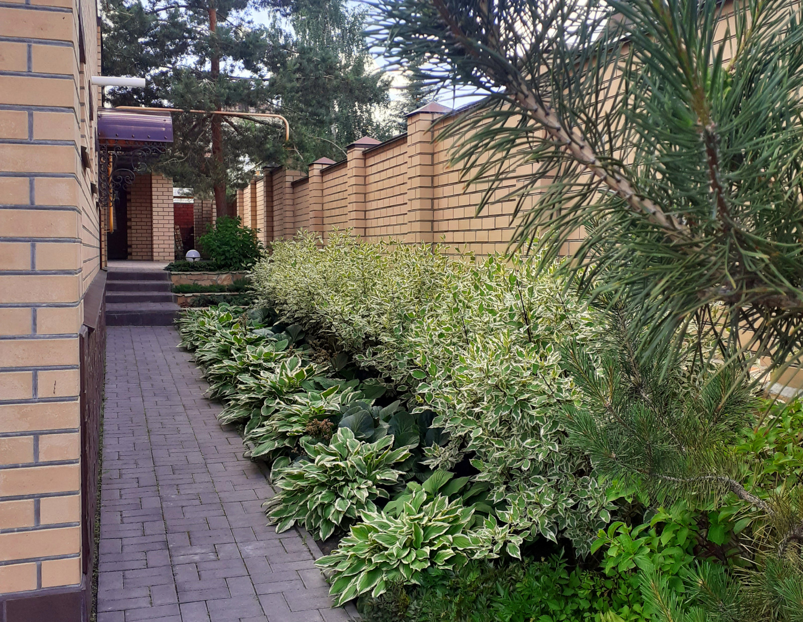 Сиреневый дождь