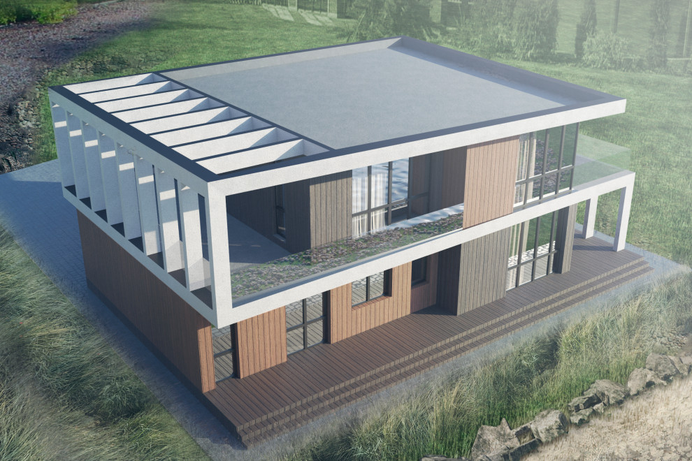 Концепция загородного дома, пример начальной-вариативной стадии проектирования.