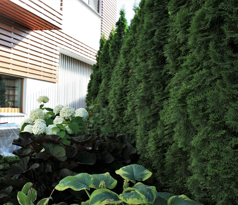 Сад в Летово