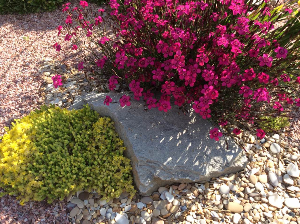 северный версаль