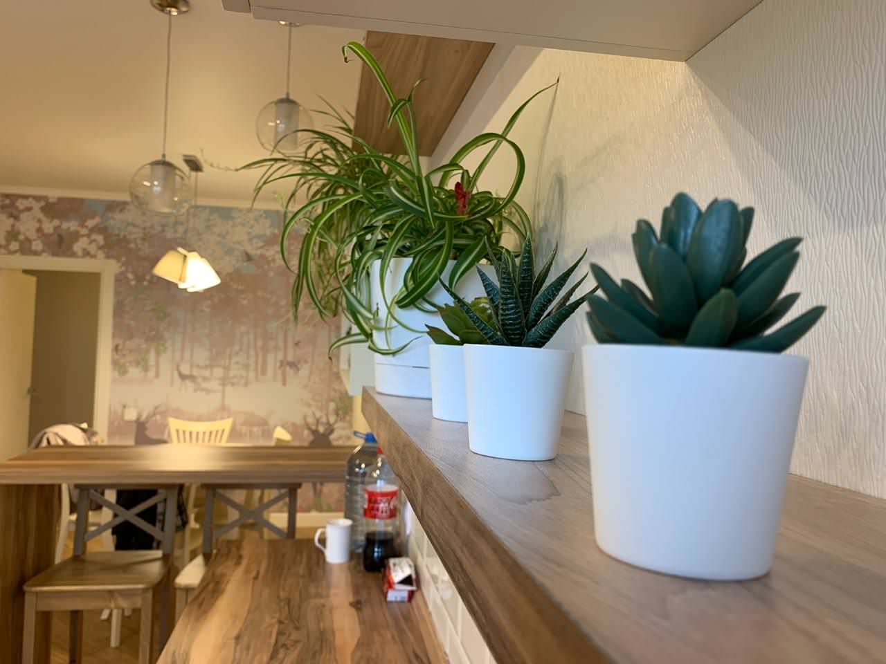 Проект небольшого загородного дома