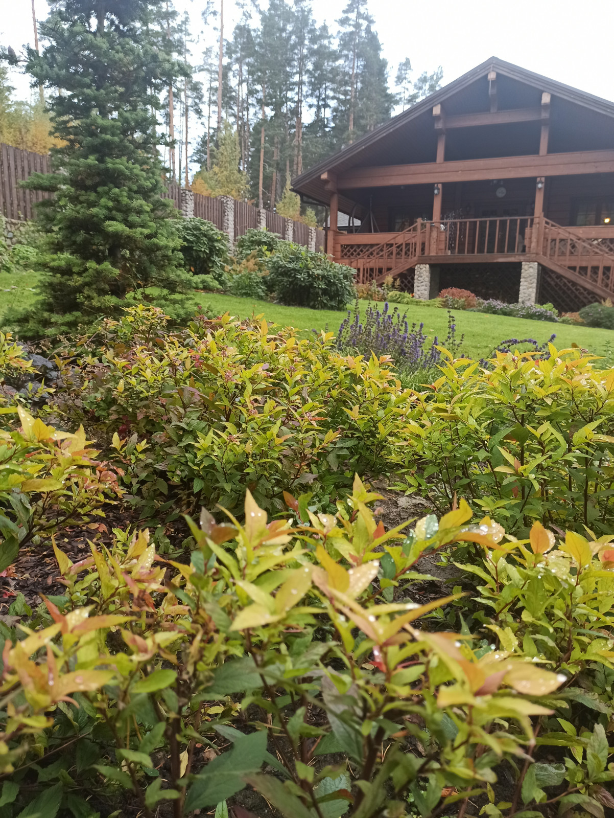 Воплощение проекта.Мельниково