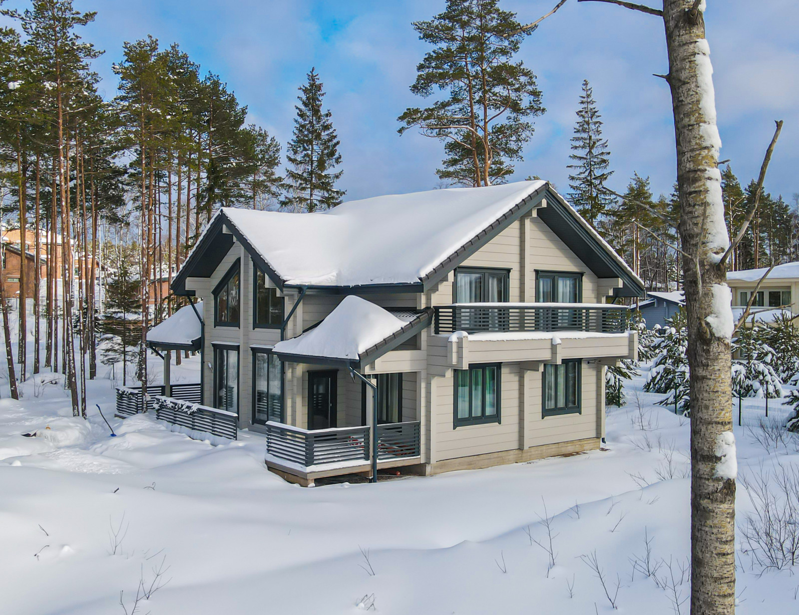 Коттеджный поселок "Репино-Парк"окна