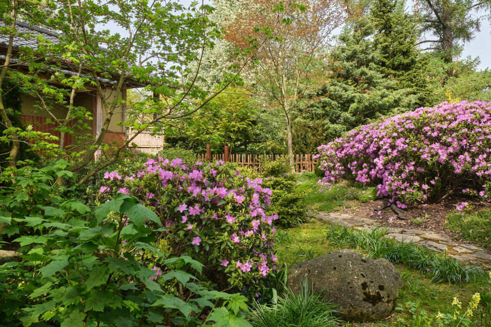 Японский сад в Ботаническом саду БИН РАН, СПб, Петроградка