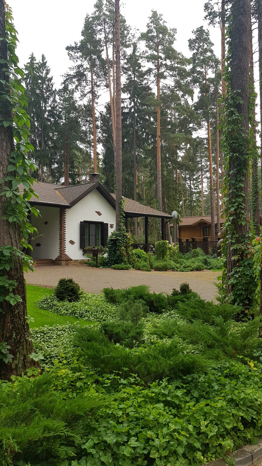 «Пряничный домик» в сосновом бору