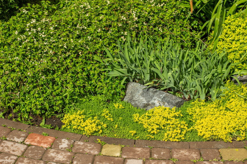 Сад с зеленой крышей