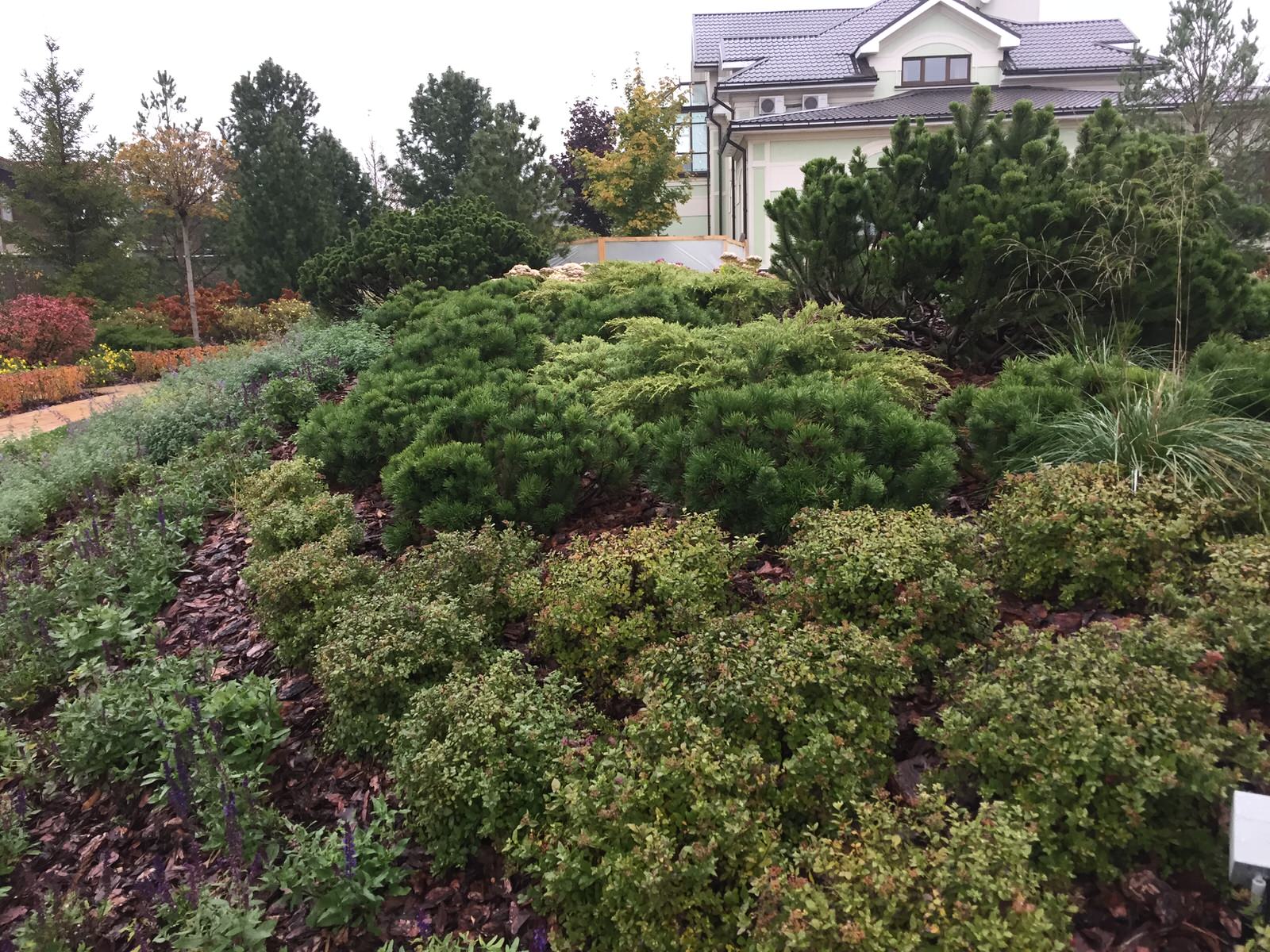 Обложка проекта: "Просторы"