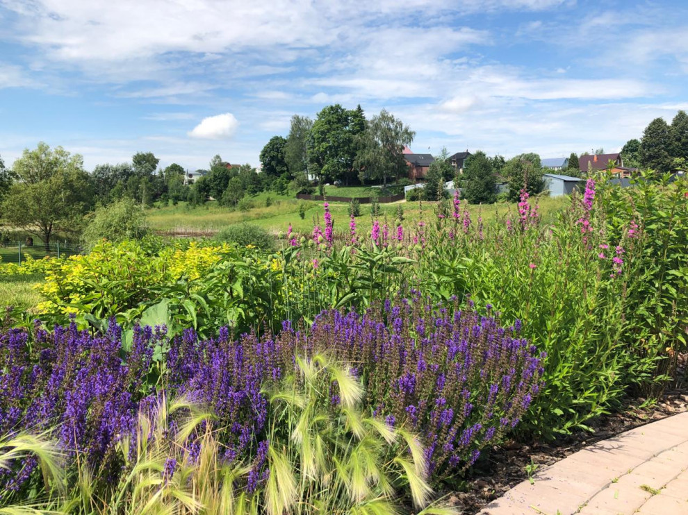 Якшино. Осень 2019