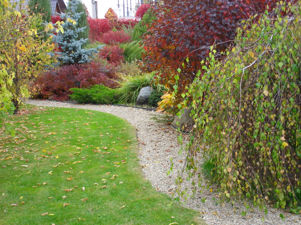 Вопрос: Как сохранить лес на собственном участке