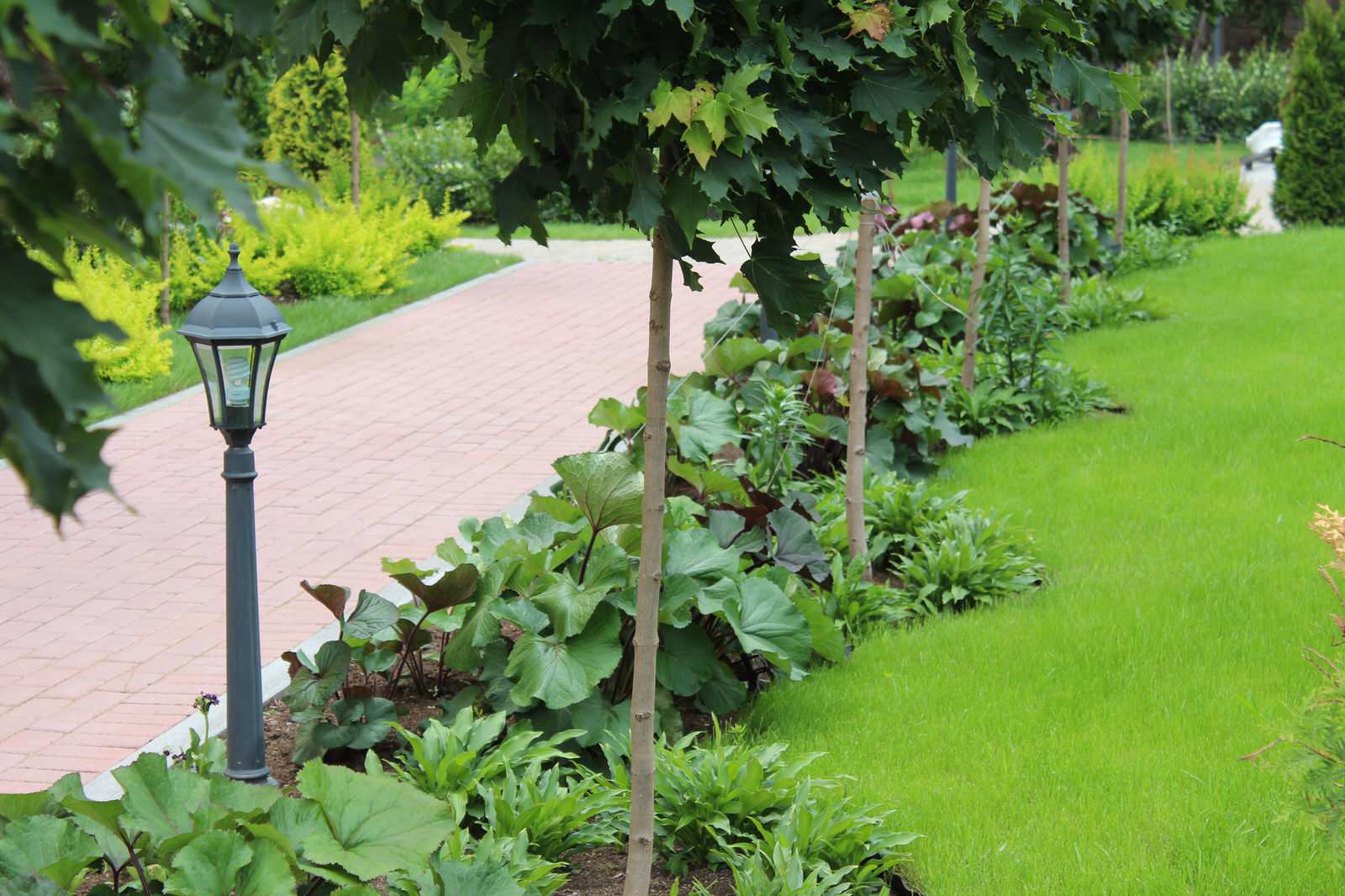 Пейзажные сады