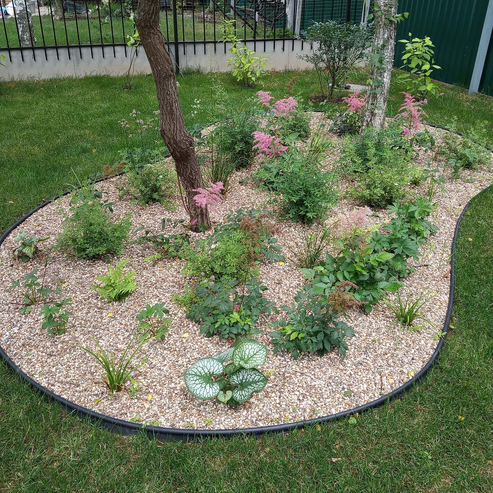 Обложка проекта: Берёзки и камни