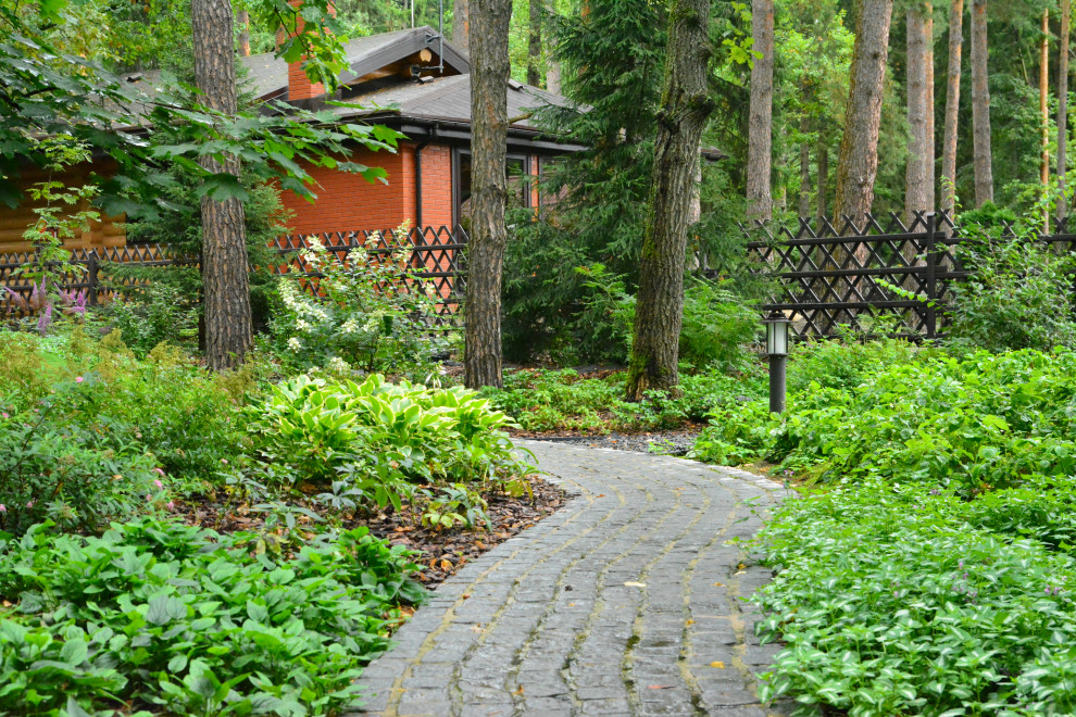 Заповедный бор