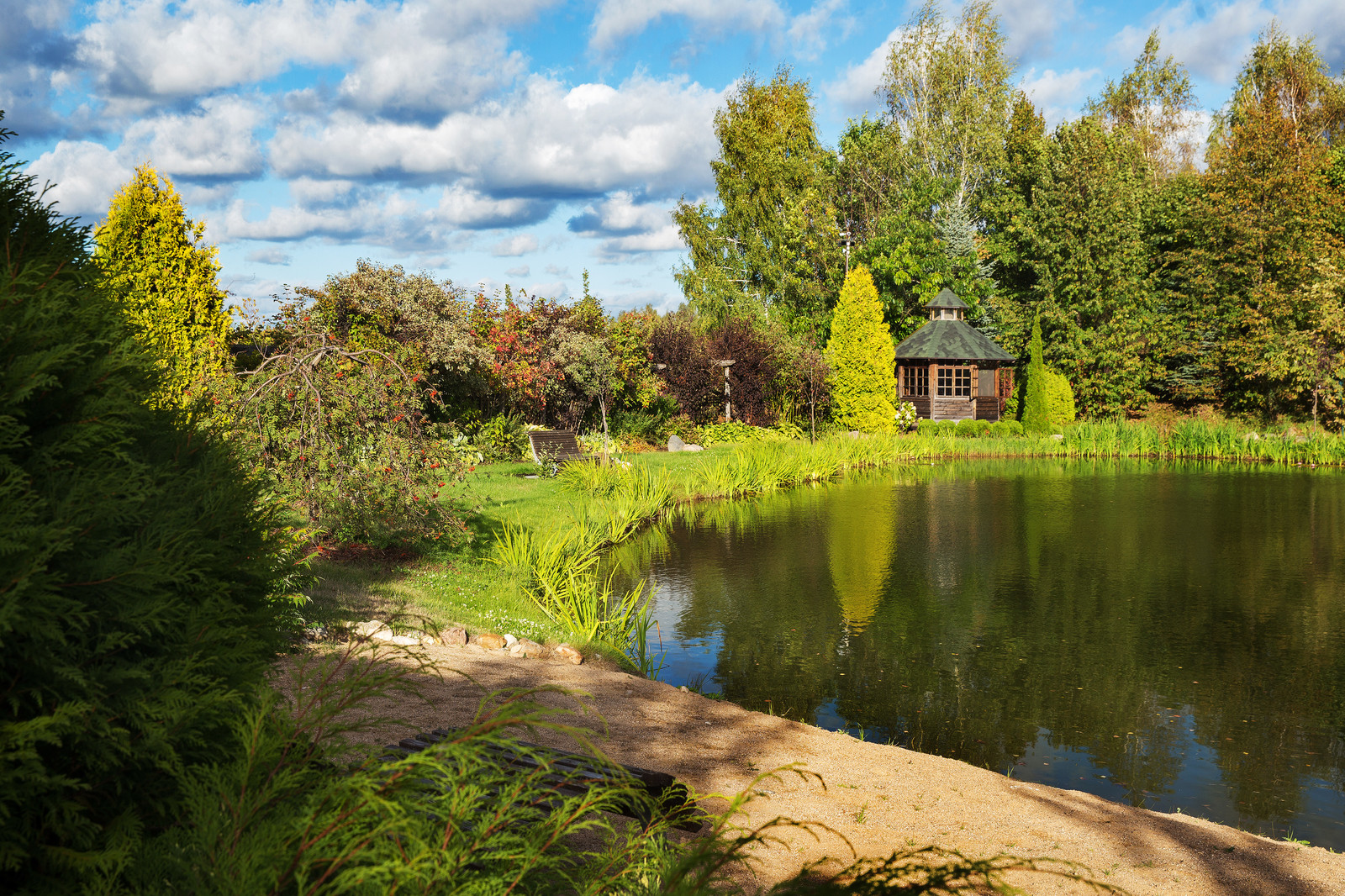 Парк в  Шаховском районе