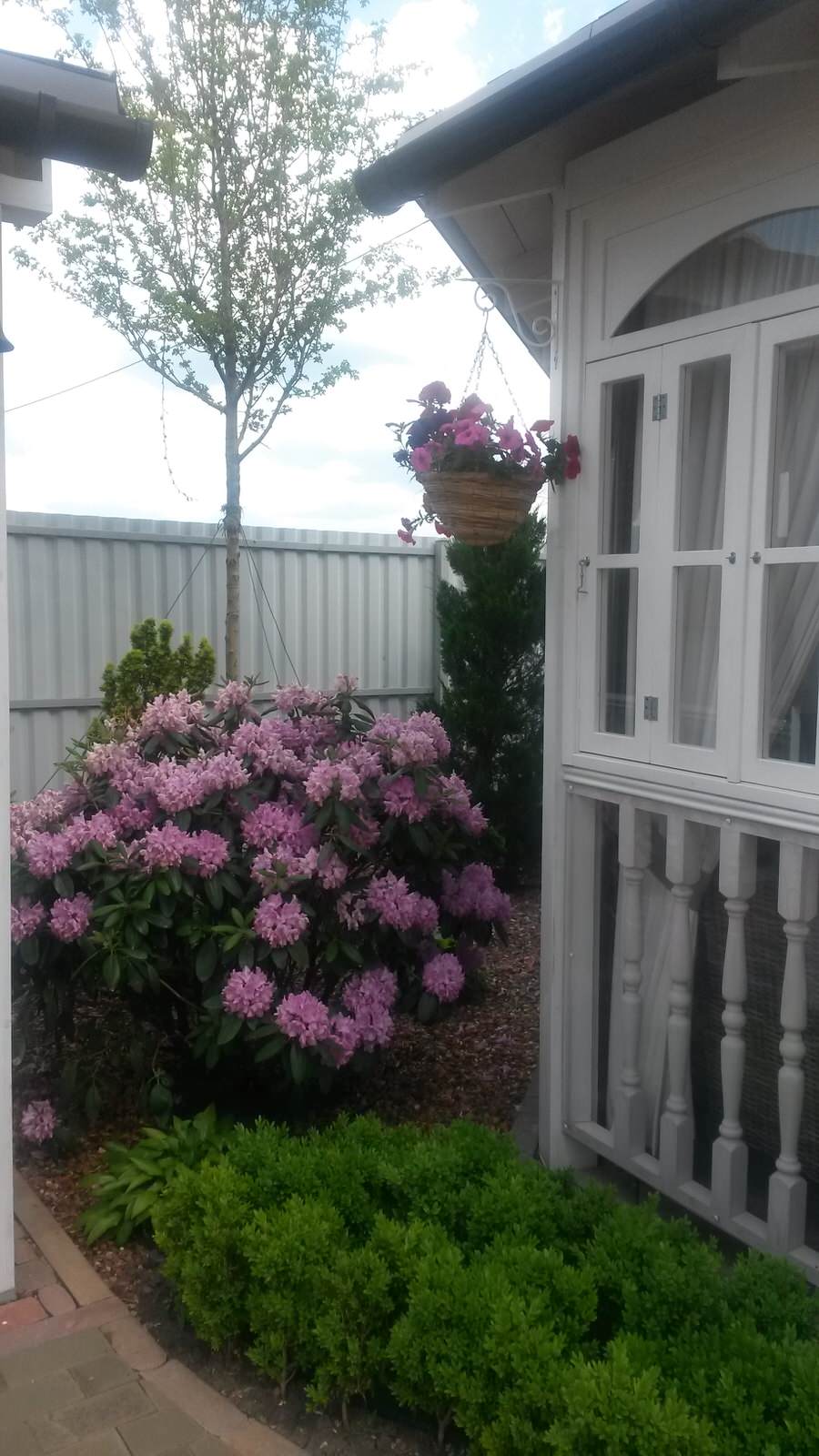 Цветы в саду