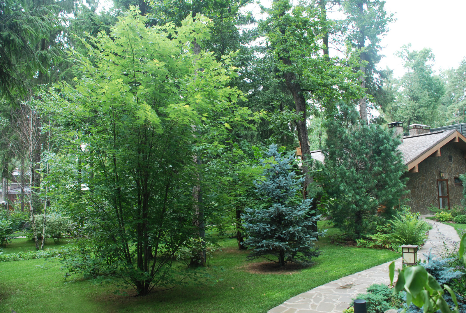 Успенское шоссе РИИТА