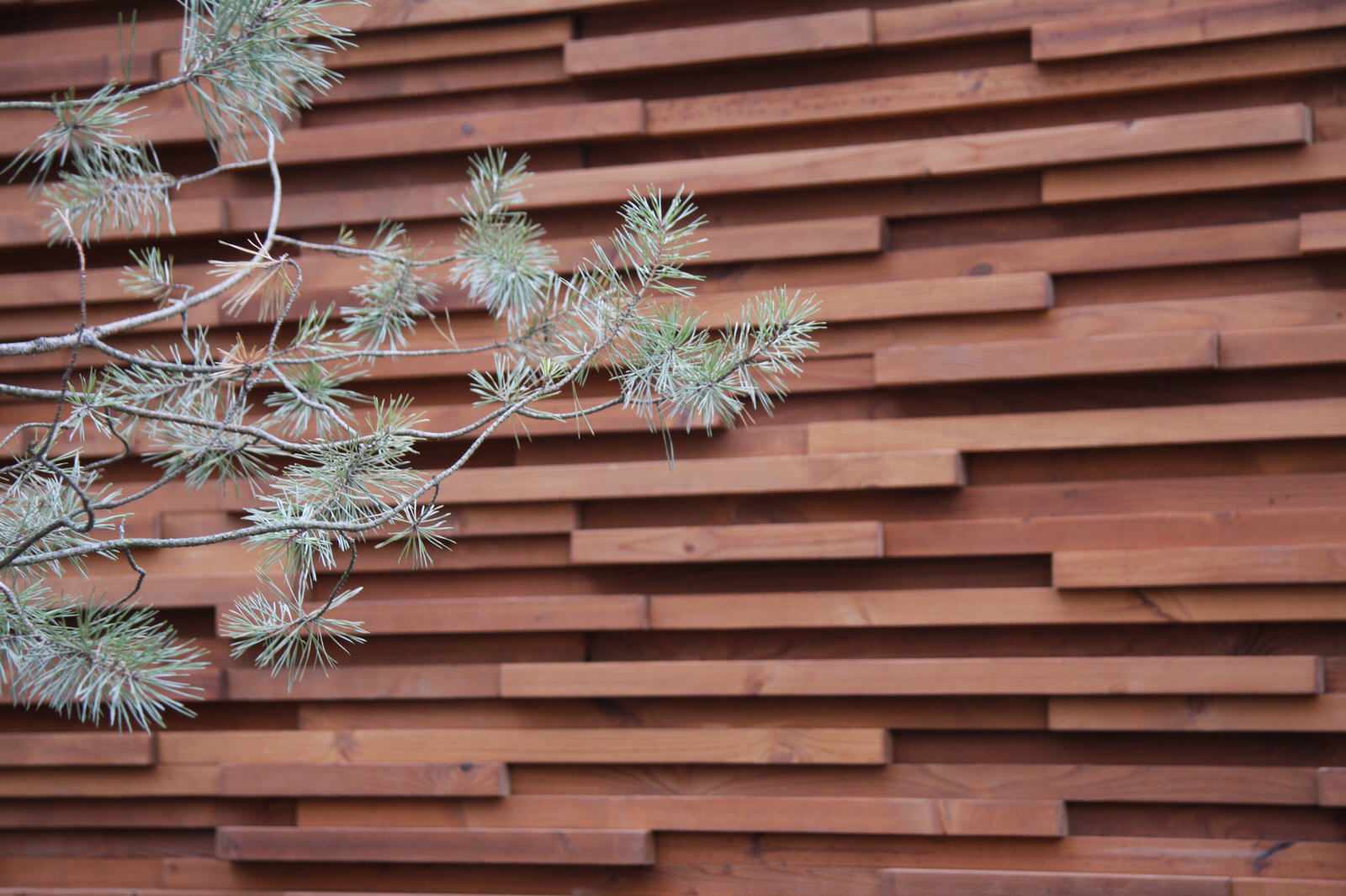 Сад в Завидово