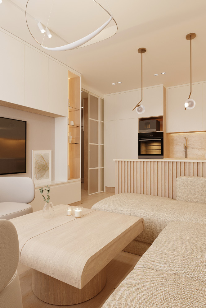 Проект квартиры 45,5м2