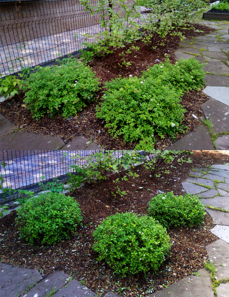 Обложка проекта: Обрезка и стрижка деревьев и кустарников