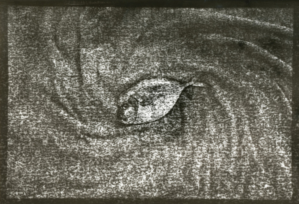 Авторские работы