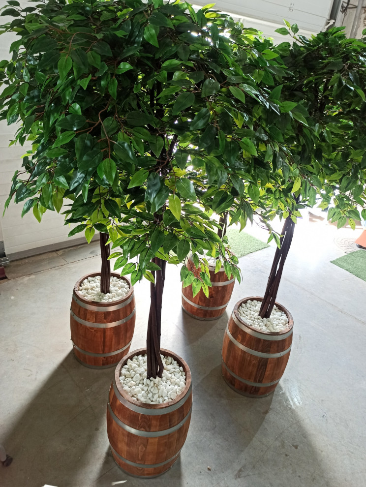 Деревья (*штамб) для фитнес-центра "Пул энд Жим"