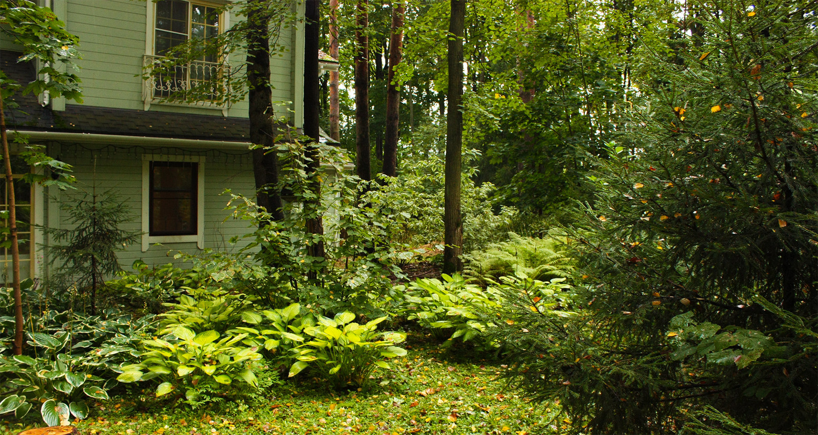 Ландшафтный дизайн лесного участка.